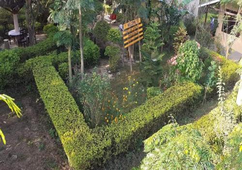Tiger Land Homestay in Thakudwara Tiger Land Homestay in Thakudwara