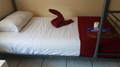 Crocodhouse early check in free parking 7 years hosting in Fort Laud in Wilton Manors Crocodhouse early check in free parking 7 years hosting in Fort Laud in Wilton Manors