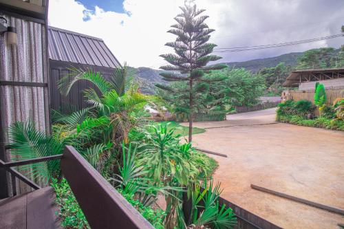 Garden, ฟินอินดอย near Doi Inthanon National Park Garden, ฟินอินดอย near Doi Inthanon National Park
