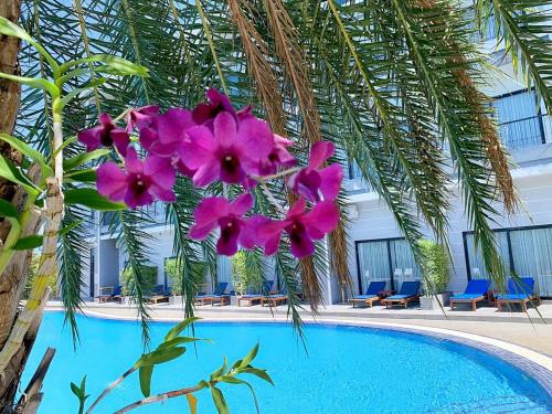 View, Kep Bay Hotel and Resort in Kep View, Kep Bay Hotel and Resort in Kep