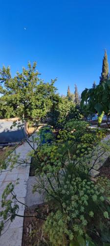 Kert, Adorable studio with farm view in Ma'an Kert, Adorable studio with farm view in Ma'an