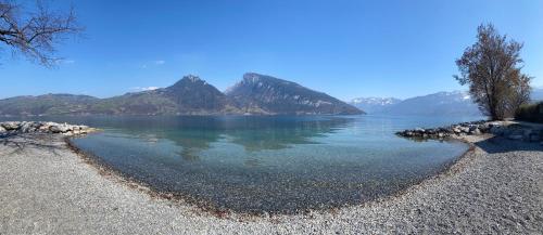 الأنشطة, ABZ Spiez Hotel Seaside in سبيز الأنشطة, ABZ Spiez Hotel Seaside in سبيز
