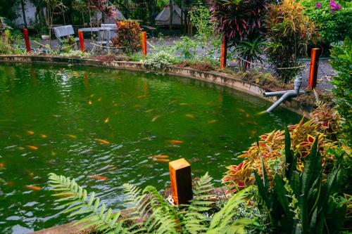 Lang Truong Tho Farmstay in Ap Nguyen Thai Hoc Lang Truong Tho Farmstay in Ap Nguyen Thai Hoc