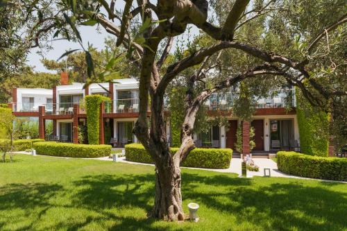 สวน, โรงแรมออร์ตุงซ์ ซุนดา ไอส์แลนด์ (Ortunc Hotel Cunda Island) in อยวาลิค สวน, โรงแรมออร์ตุงซ์ ซุนดา ไอส์แลนด์ (Ortunc Hotel Cunda Island) in อยวาลิค
