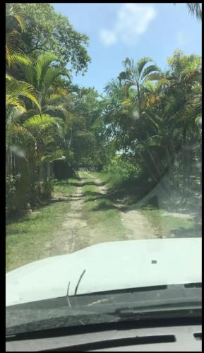 All you need is Mar y Laguna place in Tela All you need is Mar y Laguna place in Tela
