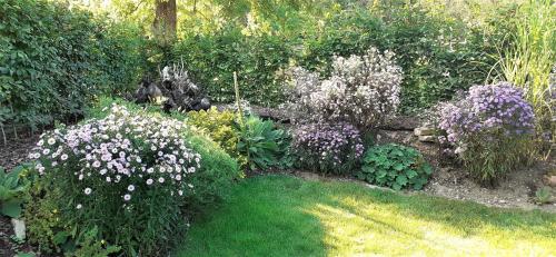 Kert, Ferienwohnungen "Zum Lochfeld" in Bliesmengen-Mandelbachtal Kert, Ferienwohnungen "Zum Lochfeld" in Bliesmengen-Mandelbachtal