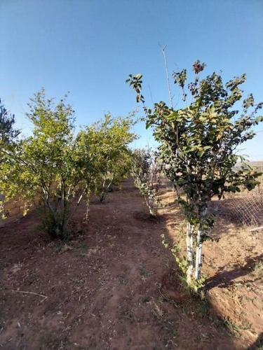 Ferme d'estivage de rêve. (Ferme d'estivage de reve.) in Sidi Rahal Ferme d'estivage de rêve. (Ferme d'estivage de reve.) in Sidi Rahal
