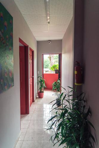 Экстерьер, Bodhi Hostel & Lounge in Эль Валье Де Антон Экстерьер, Bodhi Hostel & Lounge in Эль Валье Де Антон