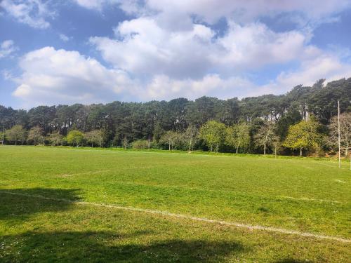 Peaceful Getaway in Forested Park in Talbot and Branksome Woods Peaceful Getaway in Forested Park in Talbot and Branksome Woods