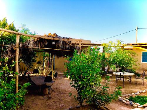 Dar Oasis Moringa in Erfoud Dar Oasis Moringa in Erfoud
