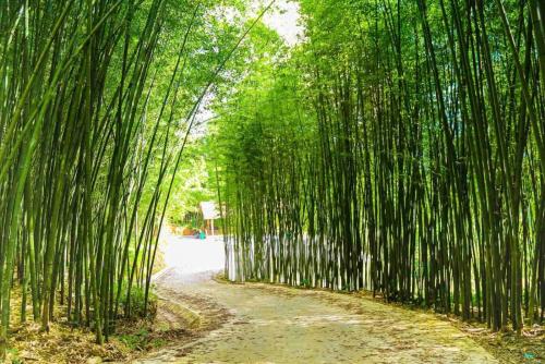 Ympäristö, Bảo Lạc - Sunny Homestay (Bao Lac - Sunny Homestay) in Pac Xin Ympäristö, Bảo Lạc - Sunny Homestay (Bao Lac - Sunny Homestay) in Pac Xin