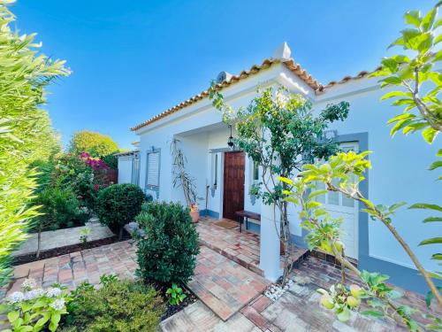 Jardim, VillaBreizh - Private Pool - Garden - Big Terrace in Monte Canelas Jardim, VillaBreizh - Private Pool - Garden - Big Terrace in Monte Canelas
