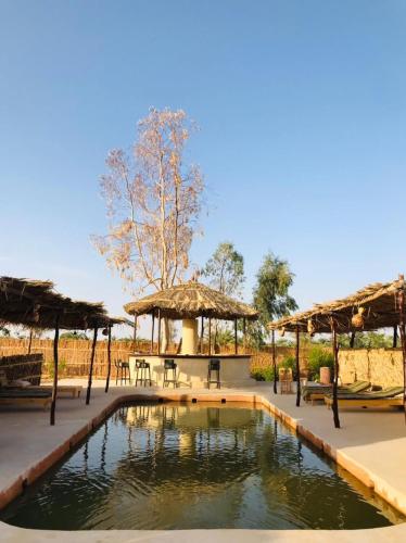 Alrededores, Gazrashek Siwa Hot spring& trips Haven in Siwa Alrededores, Gazrashek Siwa Hot spring& trips Haven in Siwa
