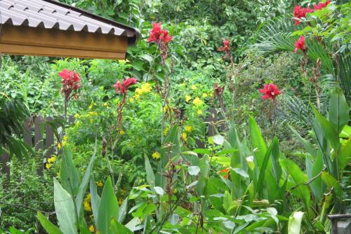 Q Zone Boutique Resort19