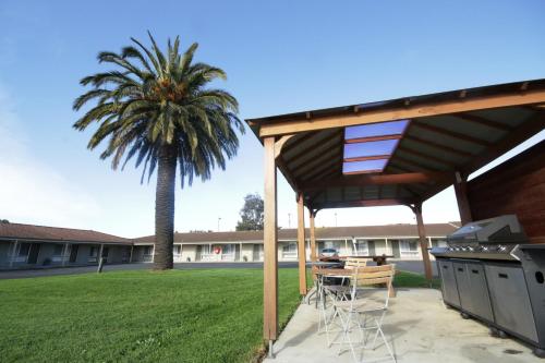 مرافق, Golden Palms Motel in Belmont مرافق, Golden Palms Motel in Belmont