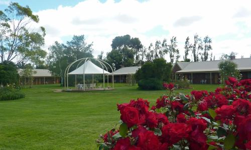 สวน, คูนาวาร์รา เพลส (Coonawarra Place) in คูนาวารร่า สวน, คูนาวาร์รา เพลส (Coonawarra Place) in คูนาวารร่า