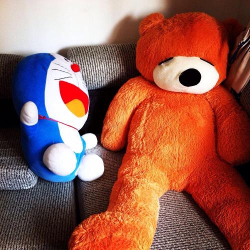 This photo about Backyard Youth Hostel shared on HyHotel.com