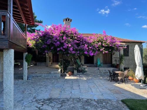 ทัศนียภาพภายนอกโรงแรม, Quinta de Argens in ซินฟาเอส ทัศนียภาพภายนอกโรงแรม, Quinta de Argens in ซินฟาเอส