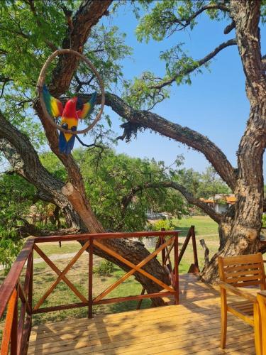 Haasienda - Nido del Loro - Casa de Arbol in Ypacaraí Haasienda - Nido del Loro - Casa de Arbol in Ypacaraí