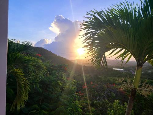 Boundless Bliss Hotel in Charlotte Amalie Boundless Bliss Hotel in Charlotte Amalie