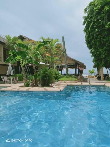 La Laguna Beach Club & Dive Center near Haligi Beach La Laguna Beach Club & Dive Center near Haligi Beach