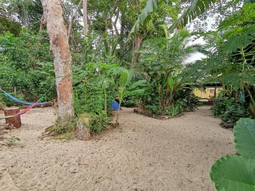 Garden, Oasis Beachfront Hostel in Puerto Viejo de Talamanca Garden, Oasis Beachfront Hostel in Puerto Viejo de Talamanca