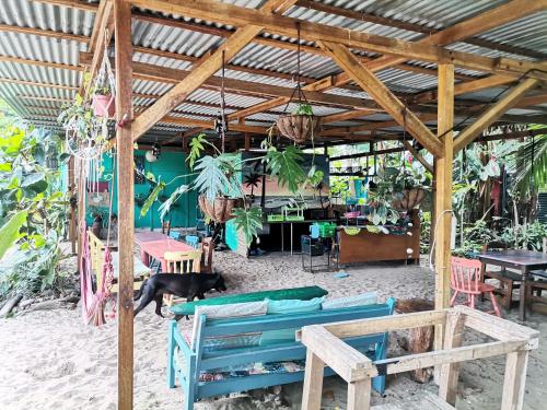 кухня, Oasis Beachfront Hostel in Puerto Viejo de Talamanca кухня, Oasis Beachfront Hostel in Puerto Viejo de Talamanca