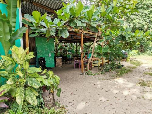 Entrance, Oasis Beachfront Hostel in Puerto Viejo de Talamanca Entrance, Oasis Beachfront Hostel in Puerto Viejo de Talamanca