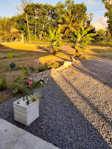 Garden, Maison elegante au Moule avec terrasse ensoleillee in Le Moule Garden, Maison elegante au Moule avec terrasse ensoleillee in Le Moule