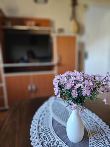 Apartman Gajic in Niksic Apartman Gajic in Niksic