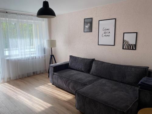 Cozy Two Room Apartment near city centre in Alytus Cozy Two Room Apartment near city centre in Alytus