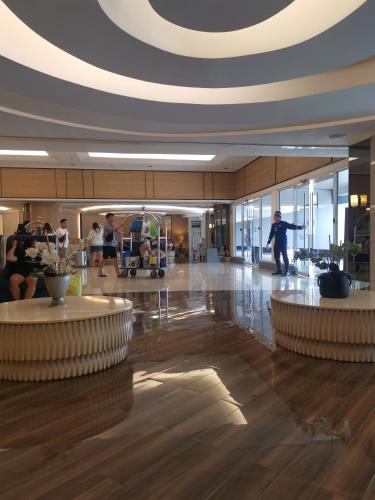 SHELL MOA by MERIAM IBA-OC 654D