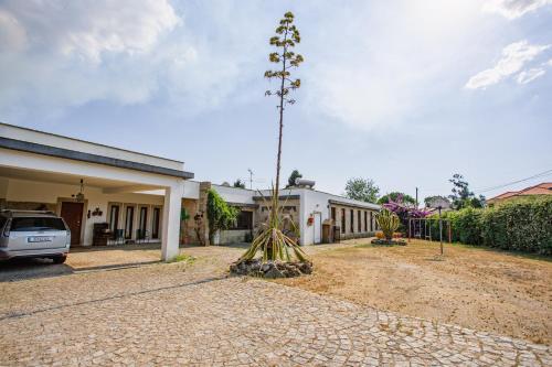Casa da Calçada (Casa da Calcada) in โคอิมโบรส์ Casa da Calçada (Casa da Calcada) in โคอิมโบรส์