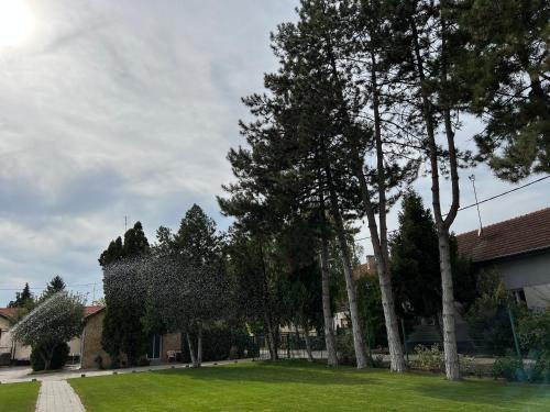 Kert, Bezdan Guesthouse in Bezdan Kert, Bezdan Guesthouse in Bezdan