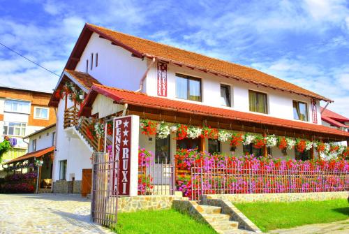 Entrada, Pensiunea Ruxi in Curtea De Arges Entrada, Pensiunea Ruxi in Curtea De Arges