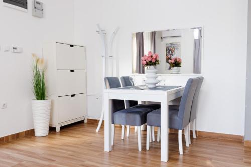 شقة 40 متر مربع من 1 غرفة و1 حمام خاص في Rakovica (Apartment Marina ) in Čukarica شقة 40 متر مربع من 1 غرفة و1 حمام خاص في Rakovica (Apartment Marina ) in Čukarica