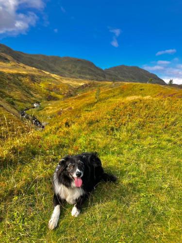Stringy Rocks in Killin Stringy Rocks in Killin