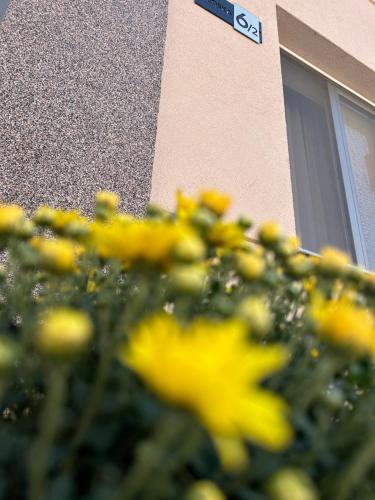 Apartman Tara in Centar Apartman Tara in Centar