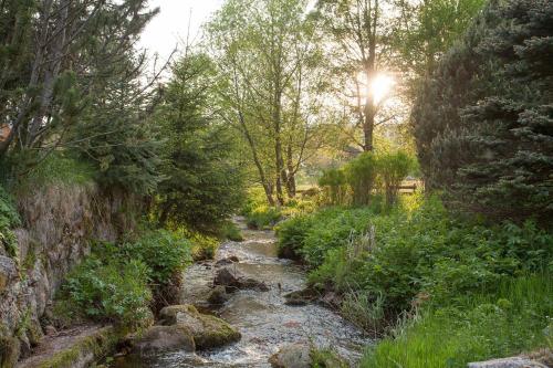 This photo about Pension Tannenheim shared on HyHotel.com