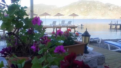 This photo about Coban Hotel Selimiye shared on HyHotel.com