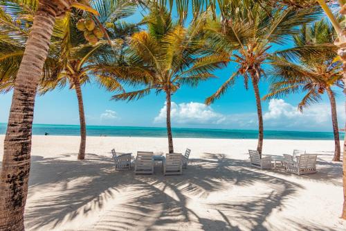 חוף ים, Twiga Beach Resort in Watamu חוף ים, Twiga Beach Resort in Watamu