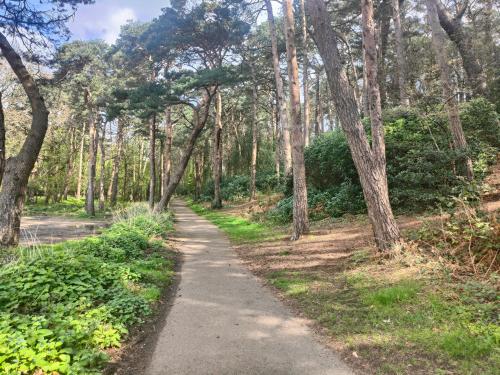 Self-contained flat, off street parking close to town and beach in Talbot and Branksome Woods Self-contained flat, off street parking close to town and beach in Talbot and Branksome Woods