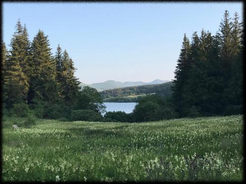 Maisonnette art déco (Maisonnette art deco) in Saint Sauves D'Auvergne Maisonnette art déco (Maisonnette art deco) in Saint Sauves D'Auvergne