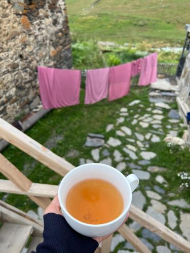 Guesthouse Ivas in Ushguli Guesthouse Ivas in Ushguli