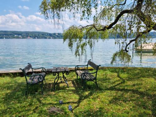 Garden, Sommertraum mit eigenem Steg und Liegewiese in Pocking Garden, Sommertraum mit eigenem Steg und Liegewiese in Pocking