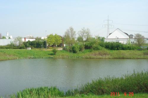 Zur Linde in Ostrau Zur Linde in Ostrau