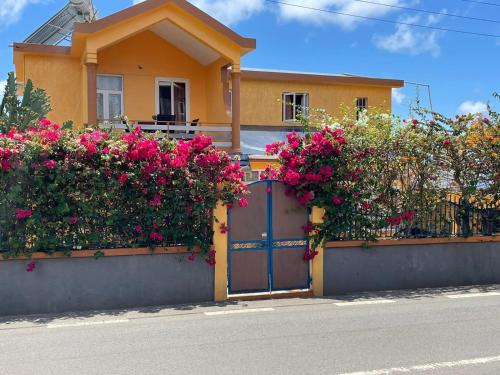 Hibiscus chez Arielle in Pointe Coton Hibiscus chez Arielle in Pointe Coton