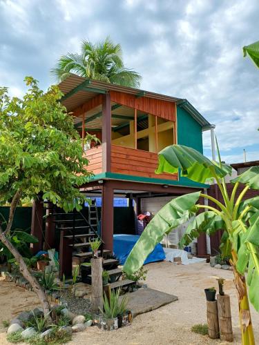 Kert, ORidleys Hostel16 in Barra De Potosi Kert, ORidleys Hostel16 in Barra De Potosi