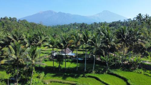 Taman, Sarang Walet Homestay in Sikur Taman, Sarang Walet Homestay in Sikur