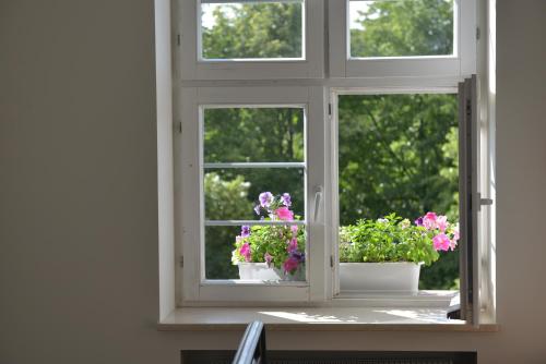 Vista, Five Point Hostel & Apartments in Principal Cidade Vista, Five Point Hostel & Apartments in Principal Cidade